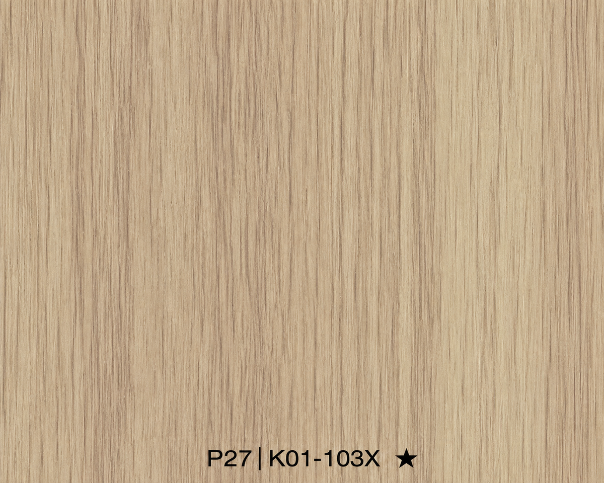 Panneau Décoratif à Motifs - K01-103X - 6 × 300CM