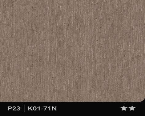 Panneau en Composite de Bambou (BPC) - K01-71N - 122 × 280CM