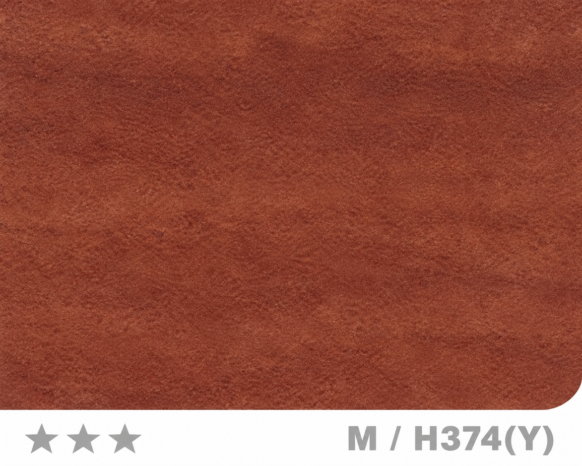 Panneau en Composite de Bambou (BPC) - M/H374(Y) - 122 × 280CM