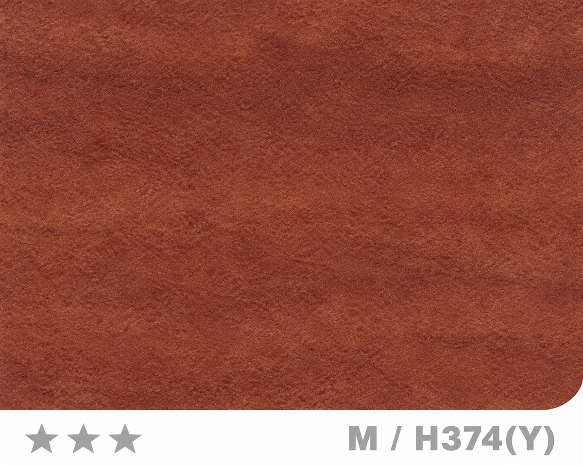 Panneau en Composite de Bambou (BPC) - M/H374(Y) - 122 × 280CM