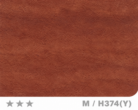 Panneau en Composite de Bambou (BPC) - M/H374(Y) - 122 × 280CM