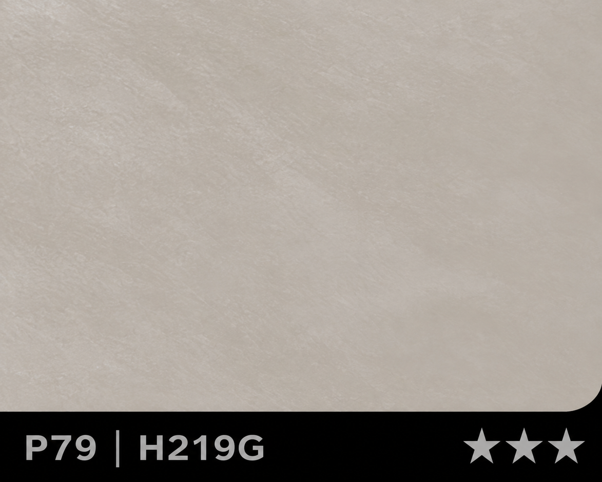 Panneau en Composite de Bambou (BPC) - H-219G - 122 × 280CM
