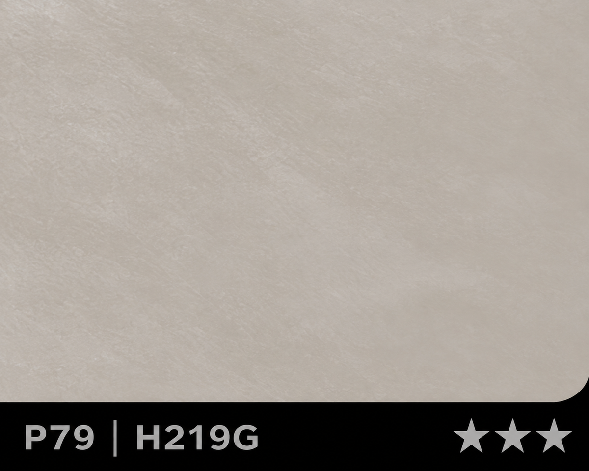 Panneau en Composite de Bambou (BPC) - H-219G - 122 × 280CM