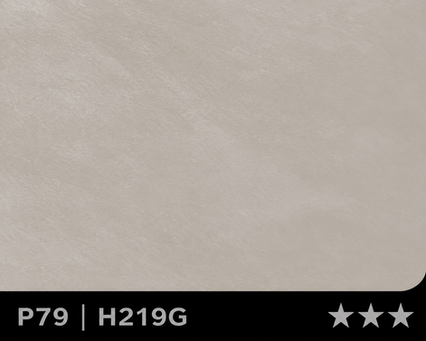 Panneau en Composite de Bambou (BPC) - H-219G - 122 × 280CM