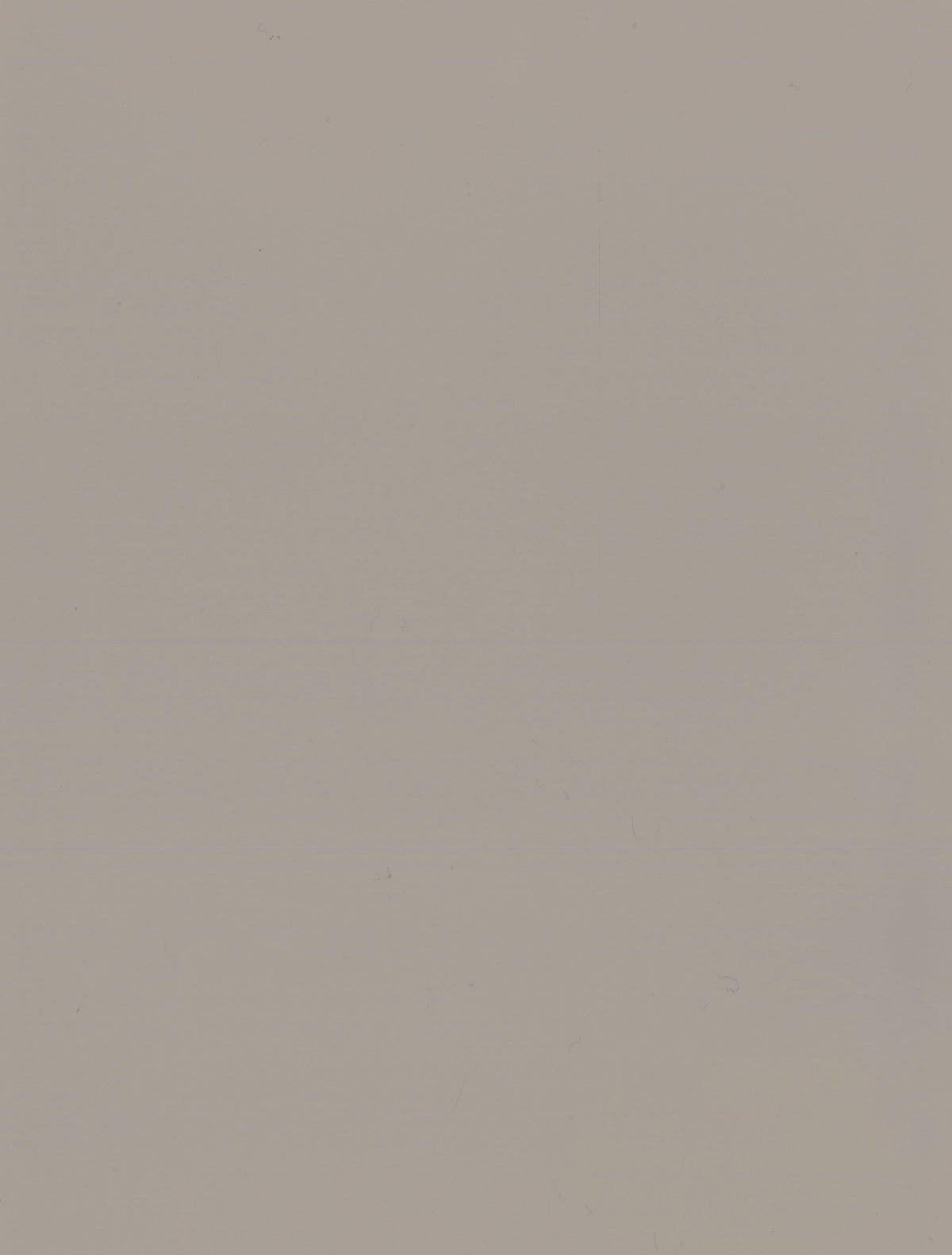 Panneau en Composite de Bambou (BPC) - K01-08N - 122 × 280CM