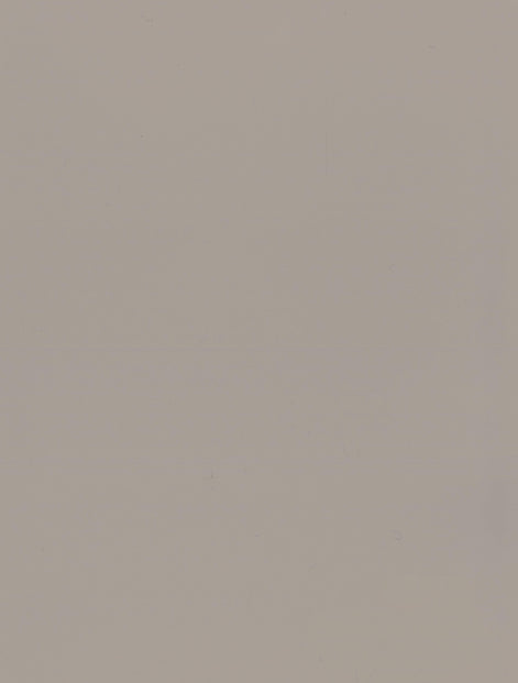 Panneau en Composite de Bambou (BPC) - K01-08N - 122 × 280CM