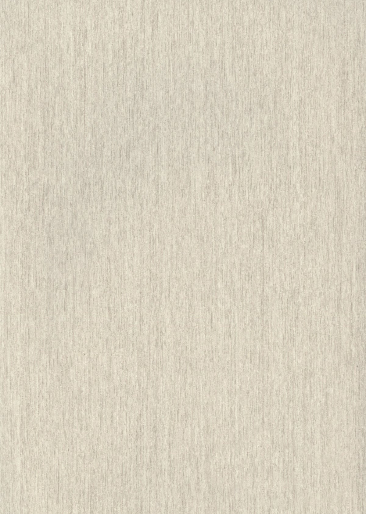 Panneau Décoratif à Motifs 12,5 × 280CM - K01-92X 125WLB