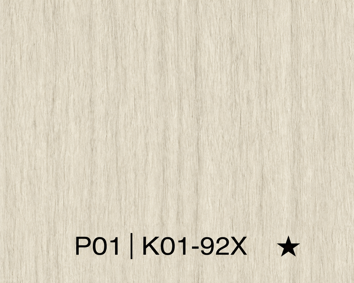 Panneau en Composite de Bambou (BPC) - K01-92X - 122 × 280CM