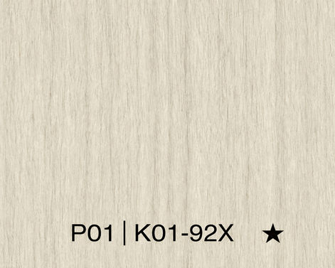 Panneau en Composite de Bambou (BPC) - K01-92X - 122 × 280CM