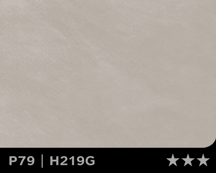 Panneau en Composite de Bambou (BPC) - H-219G - 122 × 280CM