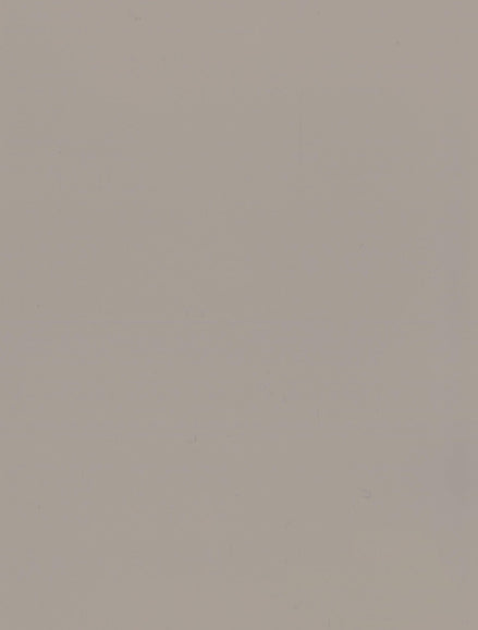 Panneau en Composite de Bambou (BPC) - K01-08N - 122 × 280CM