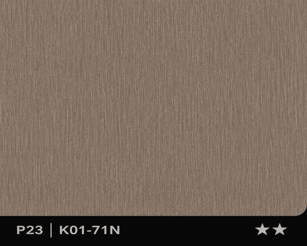 Panneau en Composite de Bambou (BPC) - K01-71N - 122 × 280CM