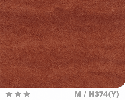 Panneau en Composite de Bambou (BPC) - M/H374(Y) - 122 × 280CM