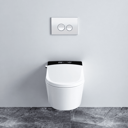 Sanitaire - T3